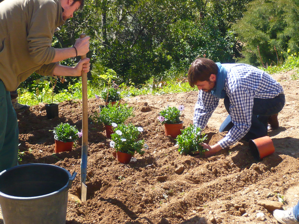 Quelques mauvaises pratiques à éviter en travaux de jardinage